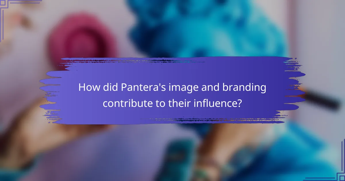 How did Pantera's image and branding contribute to their influence?